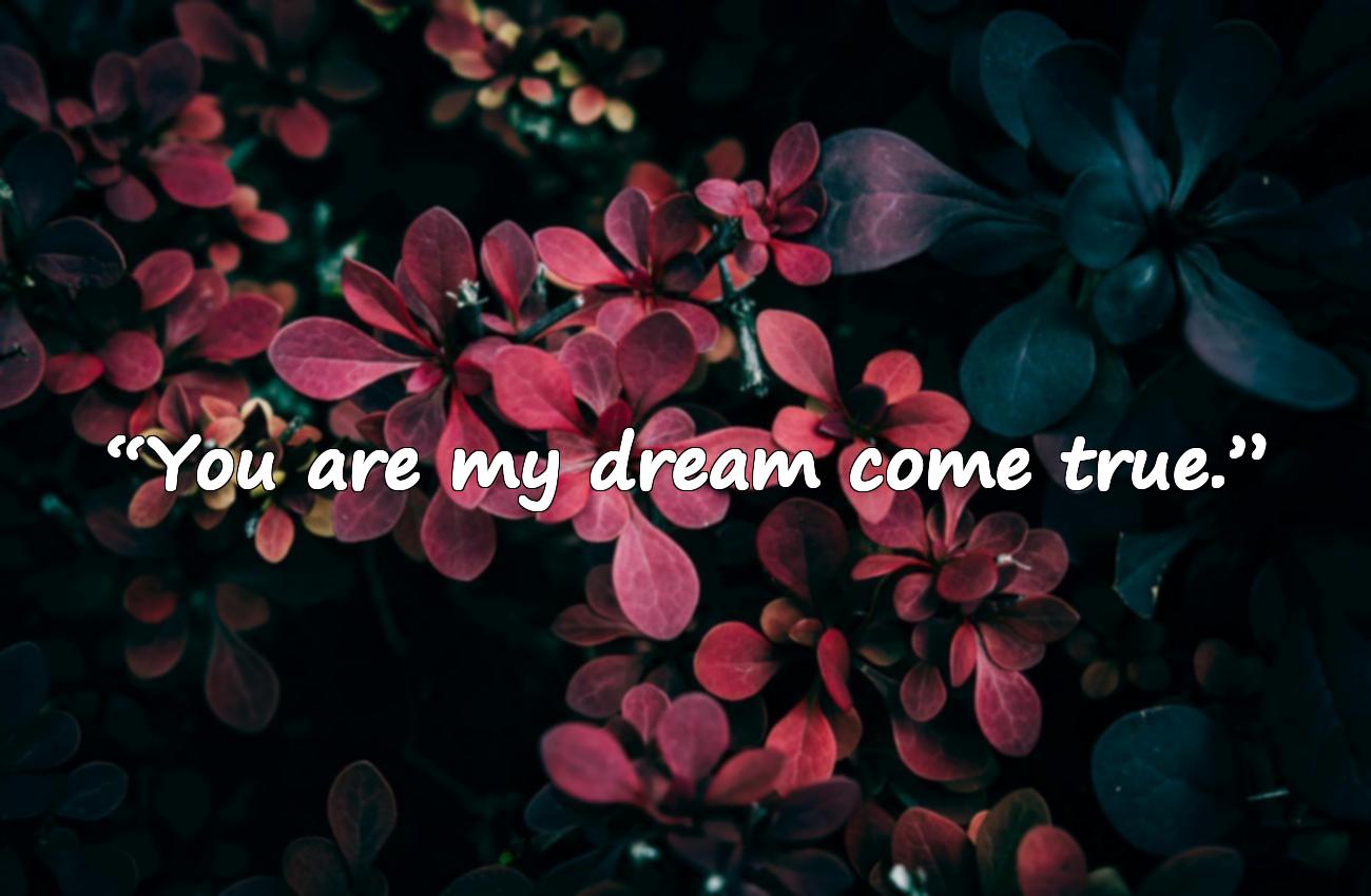 caption for love instagram