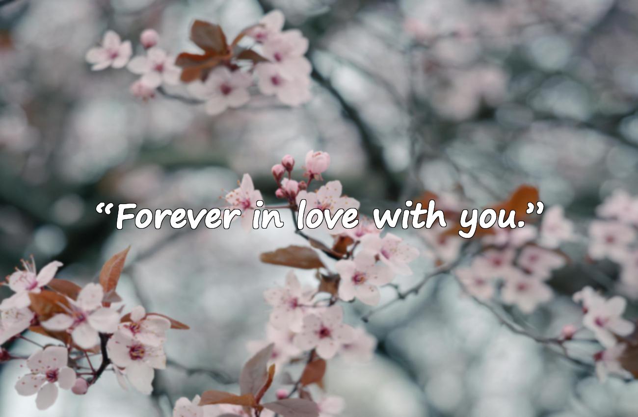 caption for love instagram