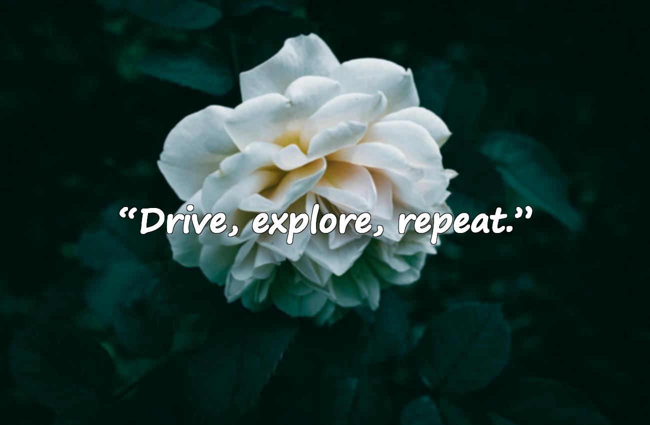 car quotes