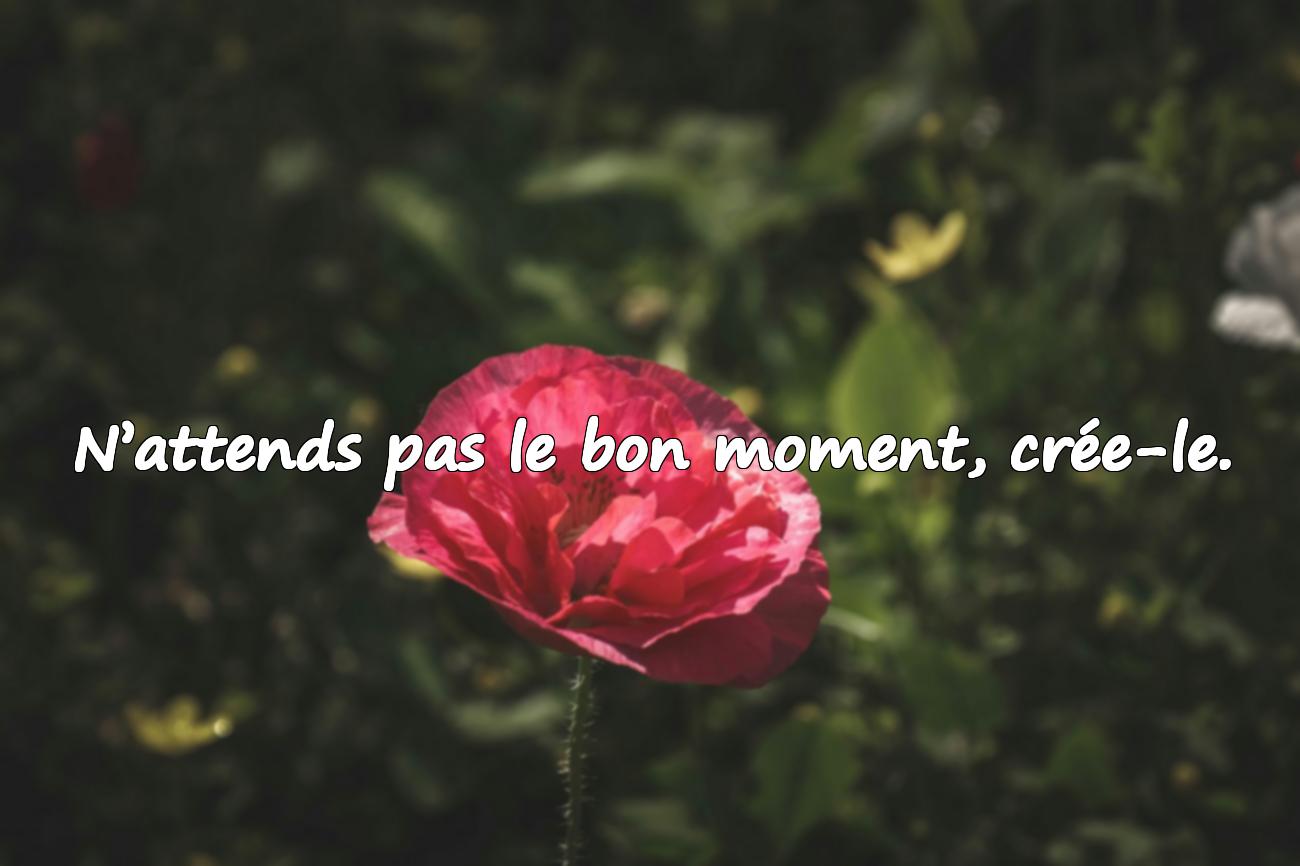 carpe diem citation