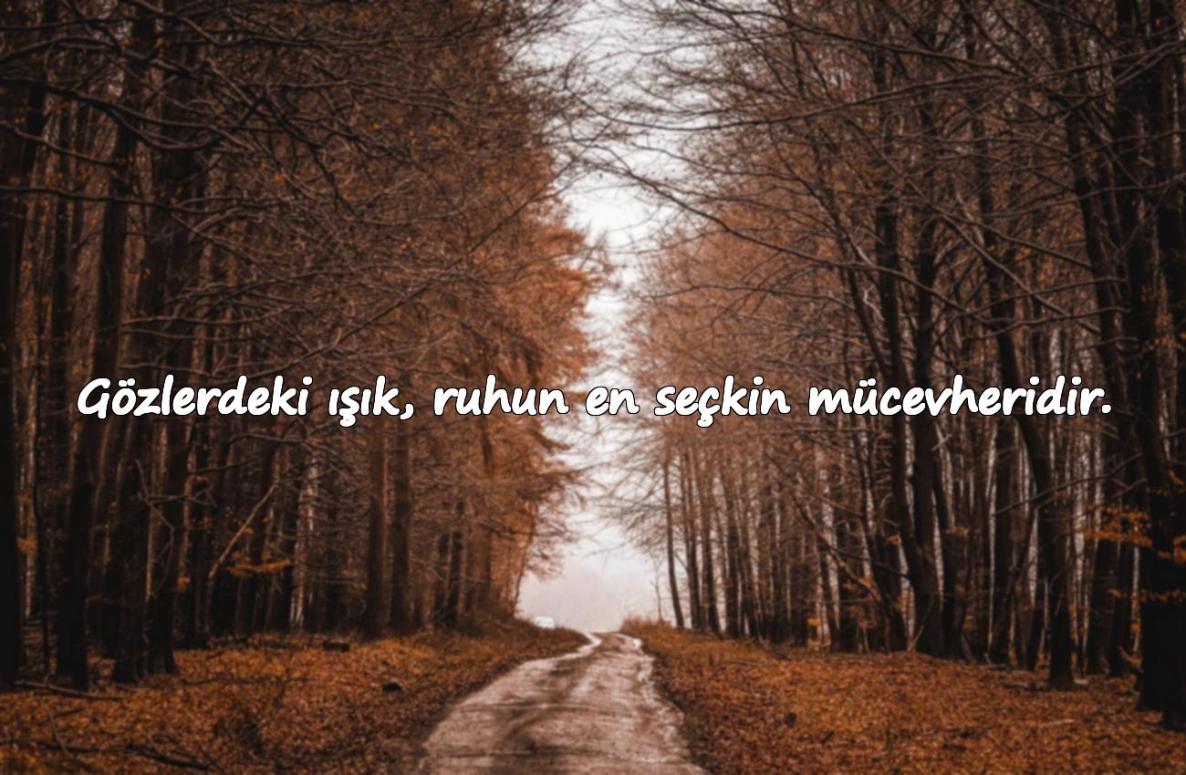 çekici sözler