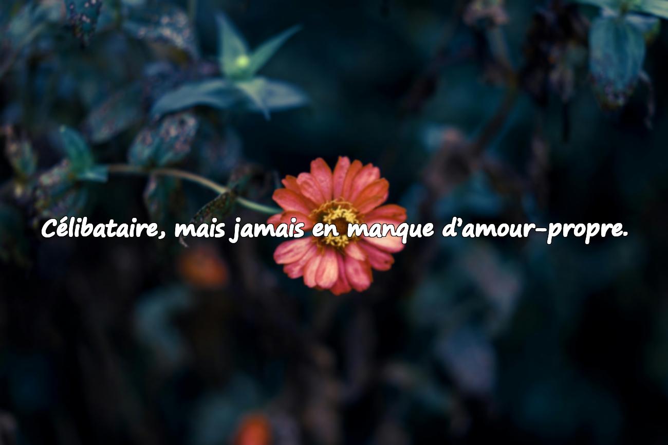 celibataire citation