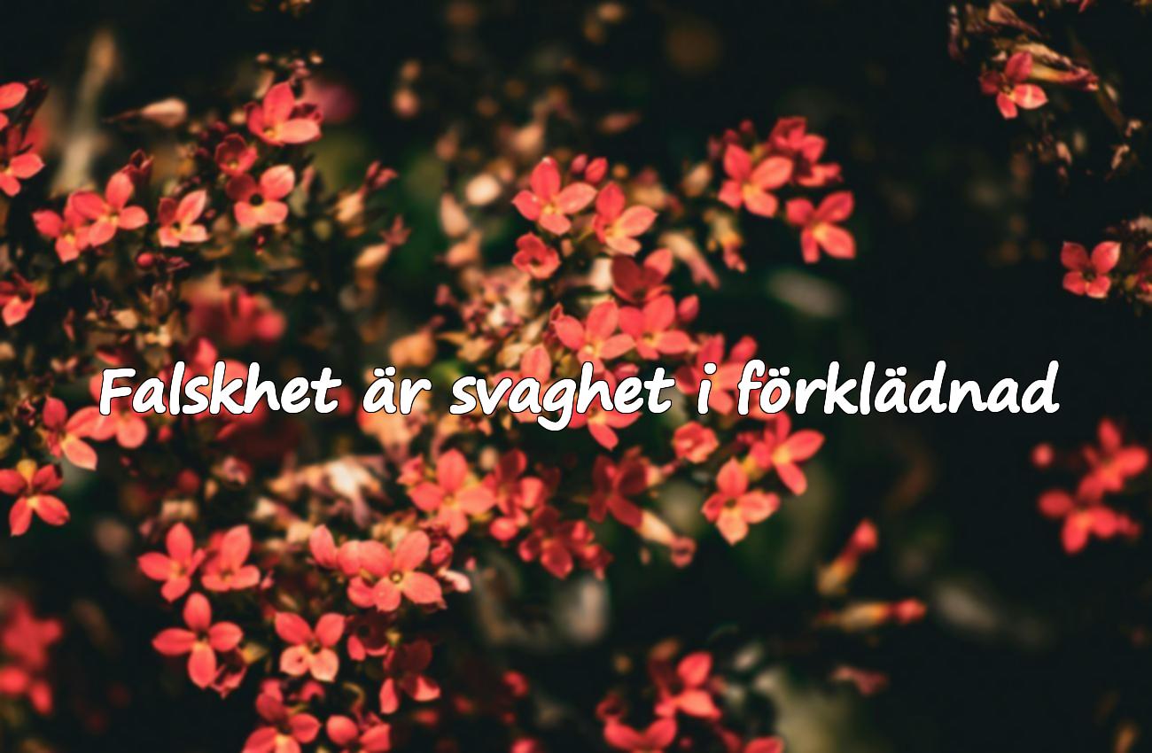 citat falskhet