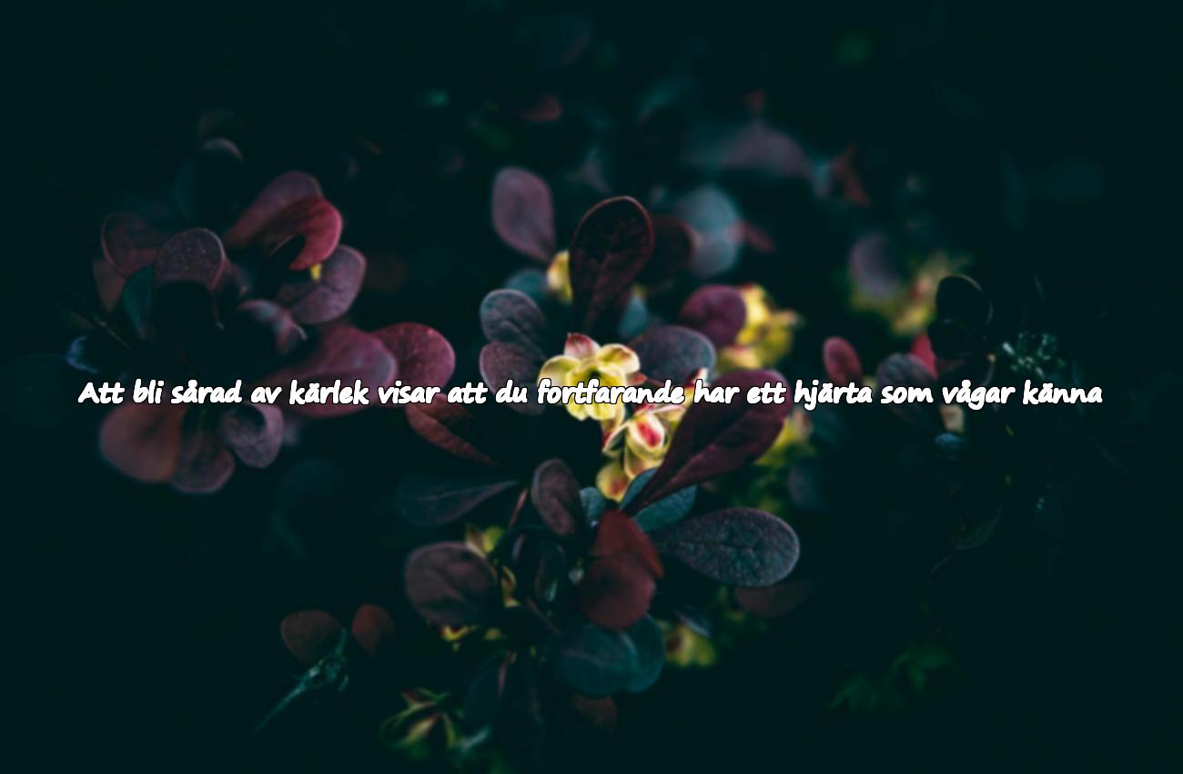 citat olycklig kärlek