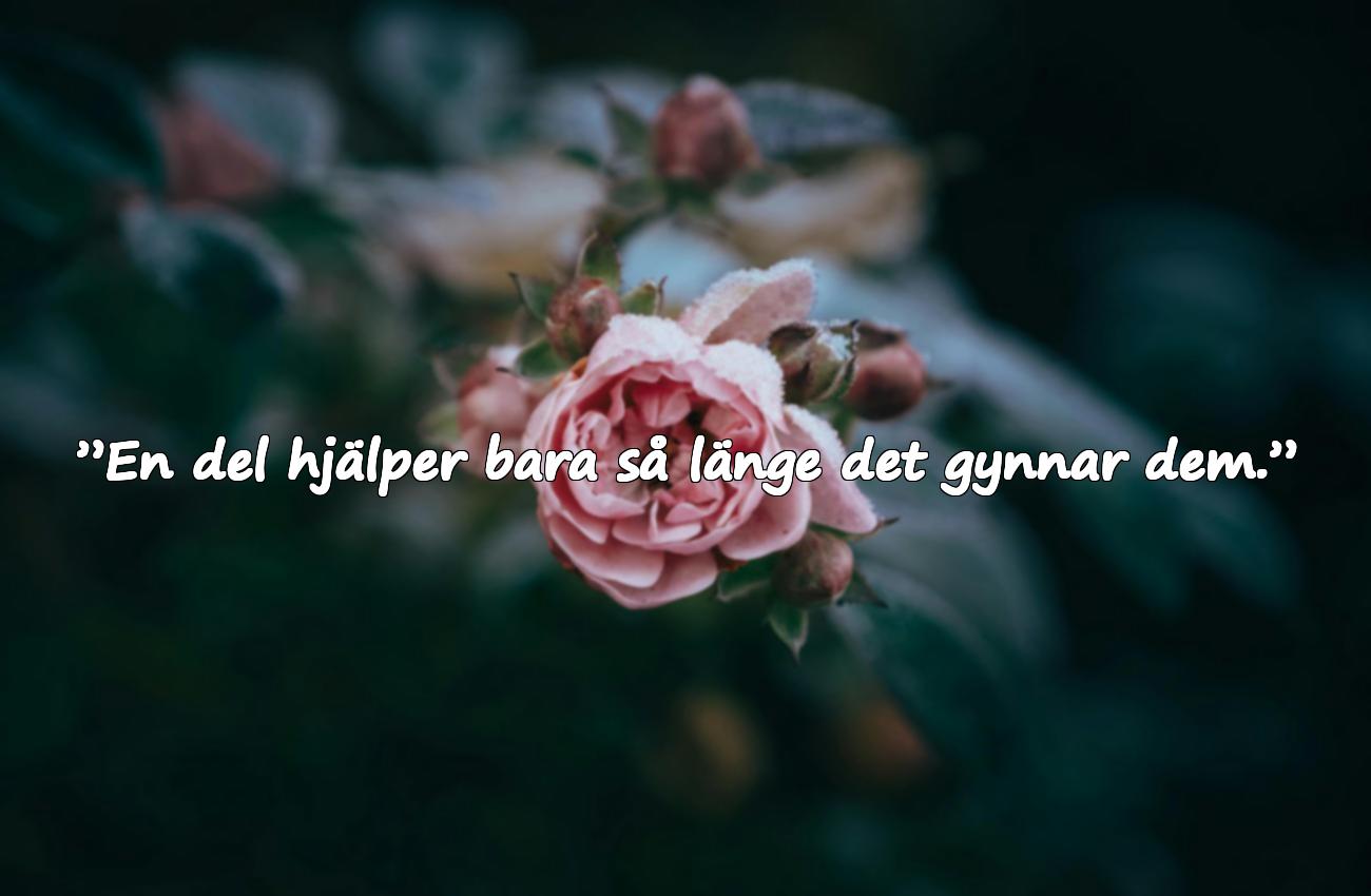 Citat Om Självintresse