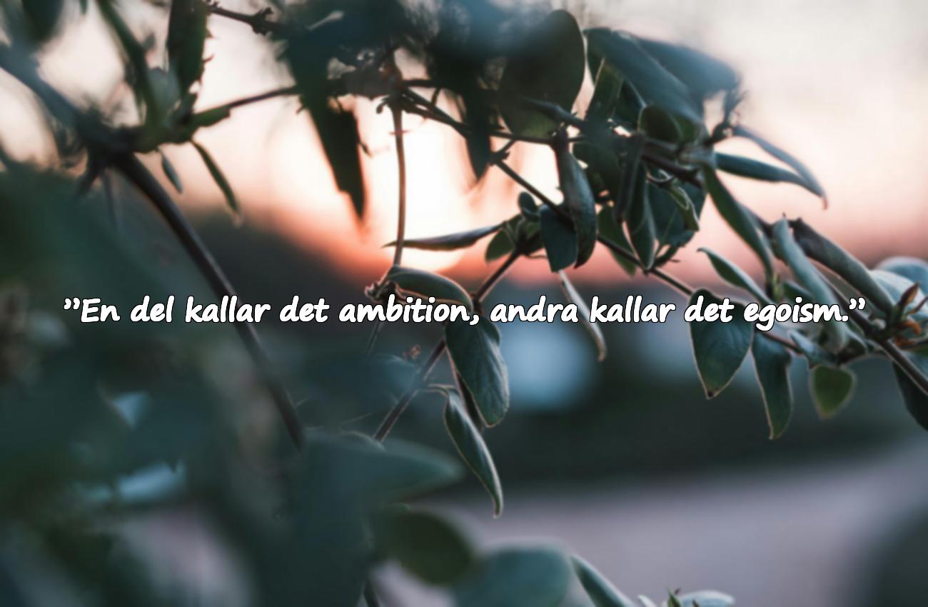 Citat Om Självintresse