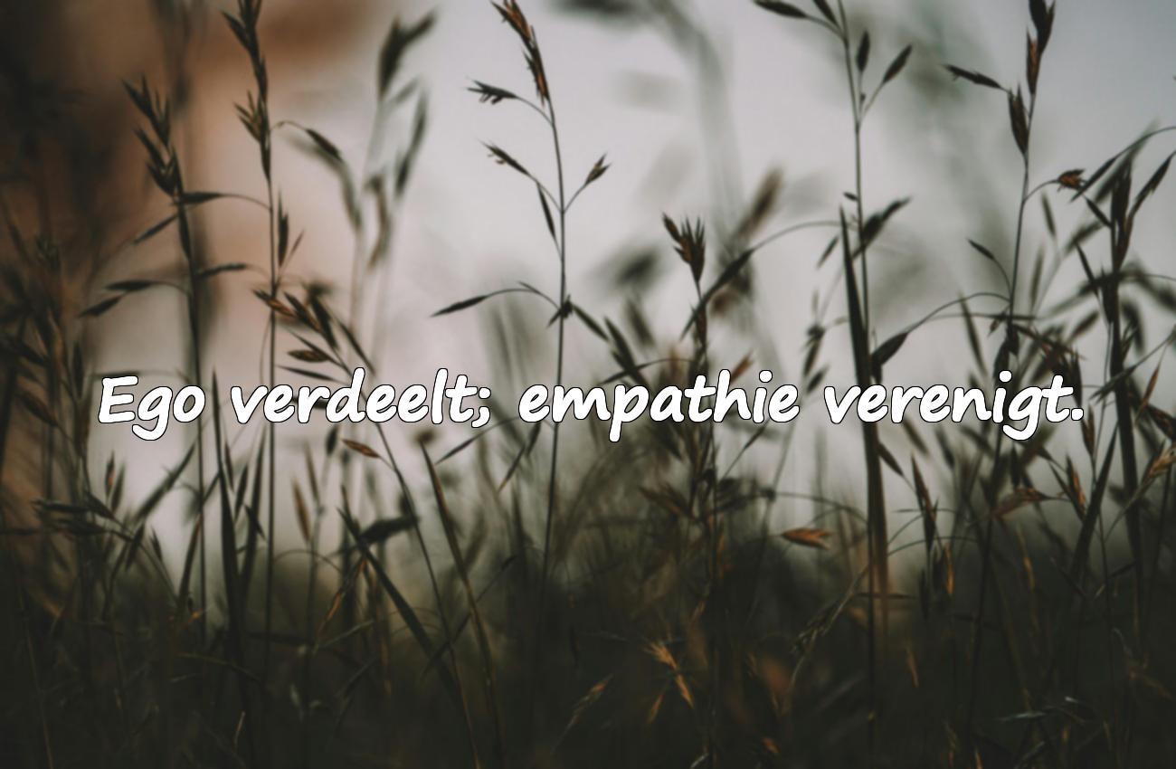 Citaten over Ego
