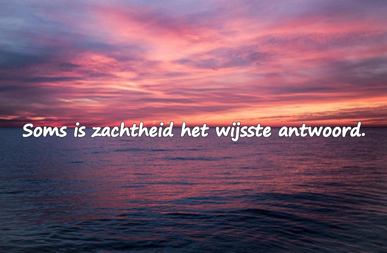 Citaten Over Mededogen