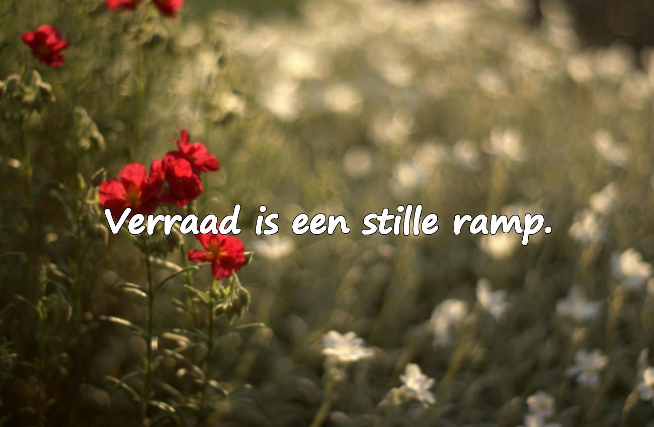 Citaten over verraad