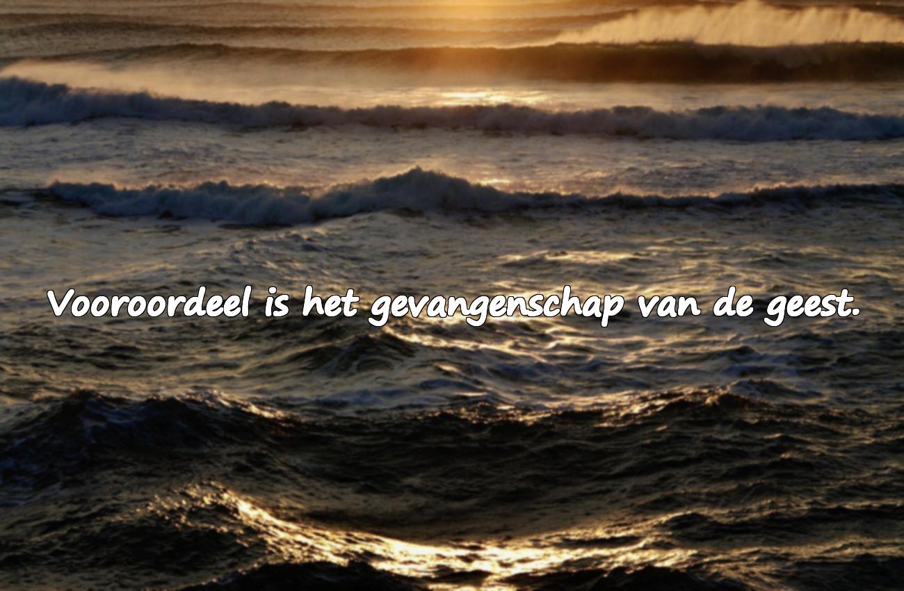 Citaten Over Vooroordelen