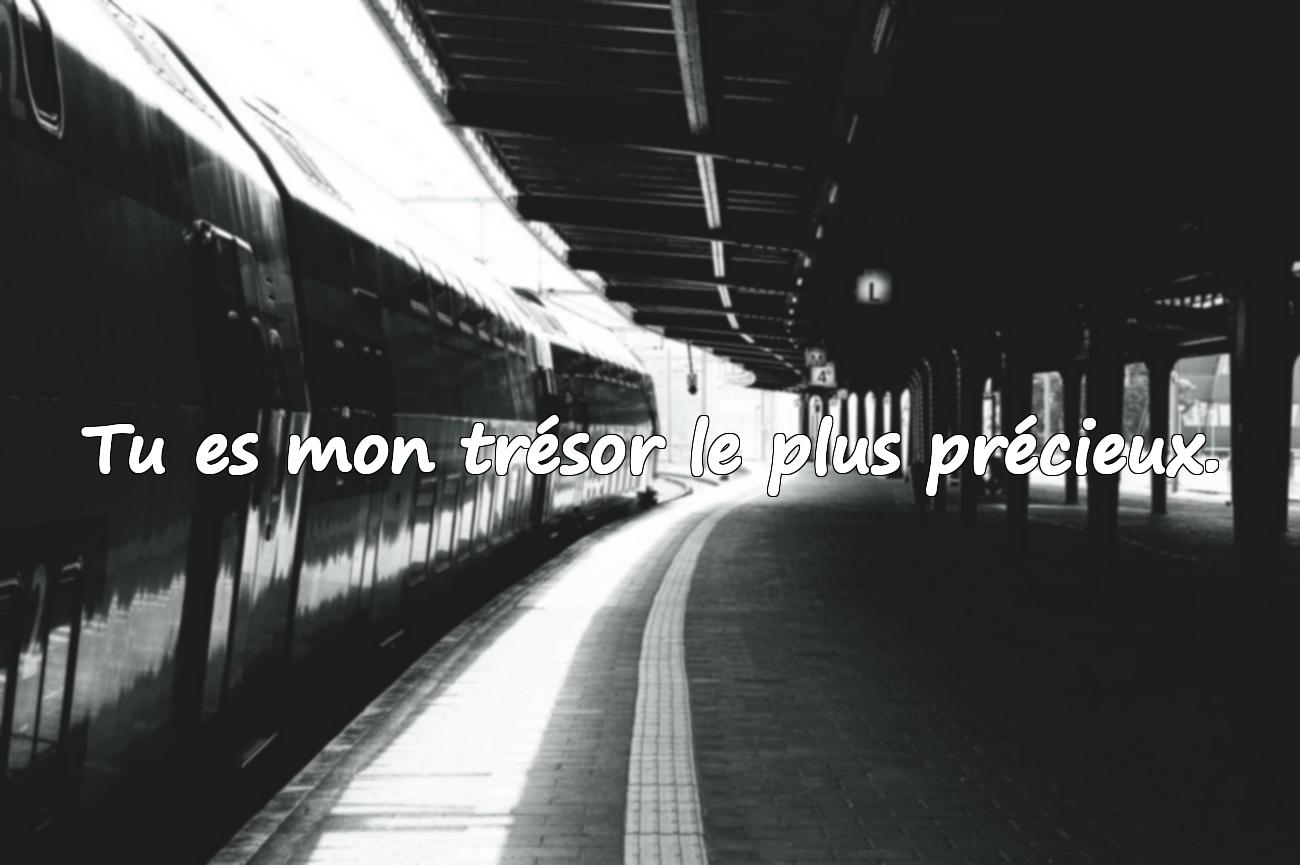 citation amour