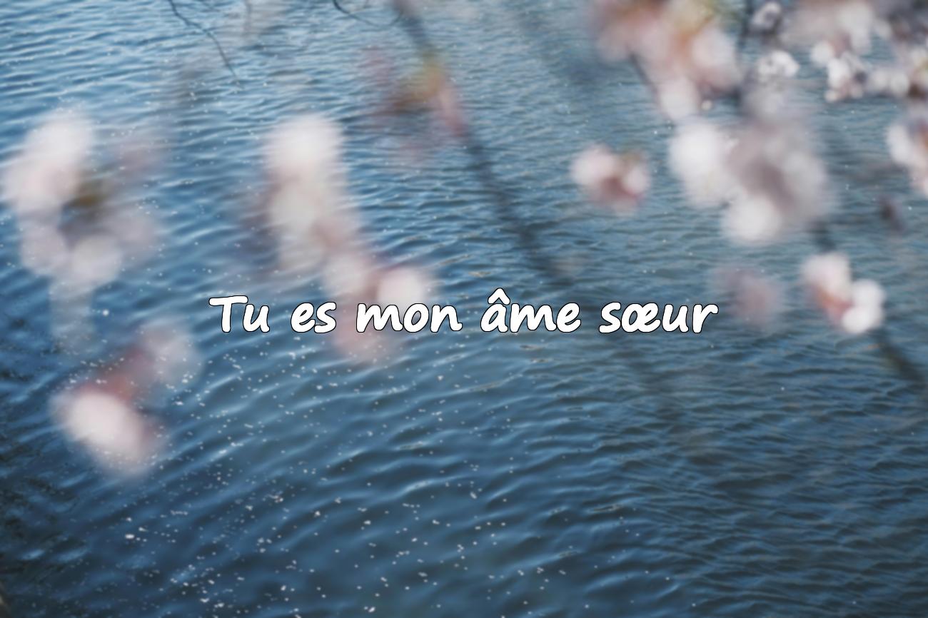 citation amour