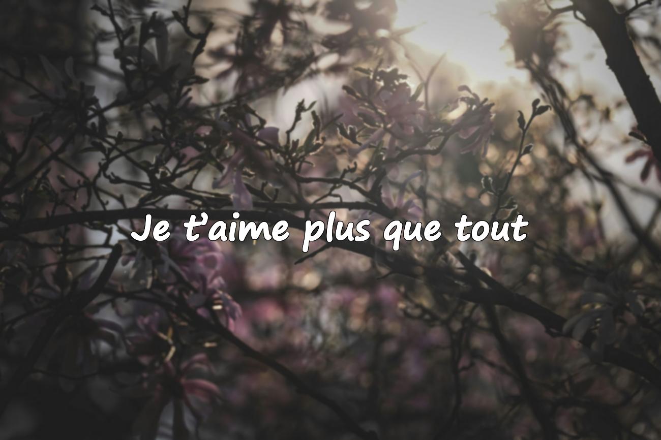 citation amour