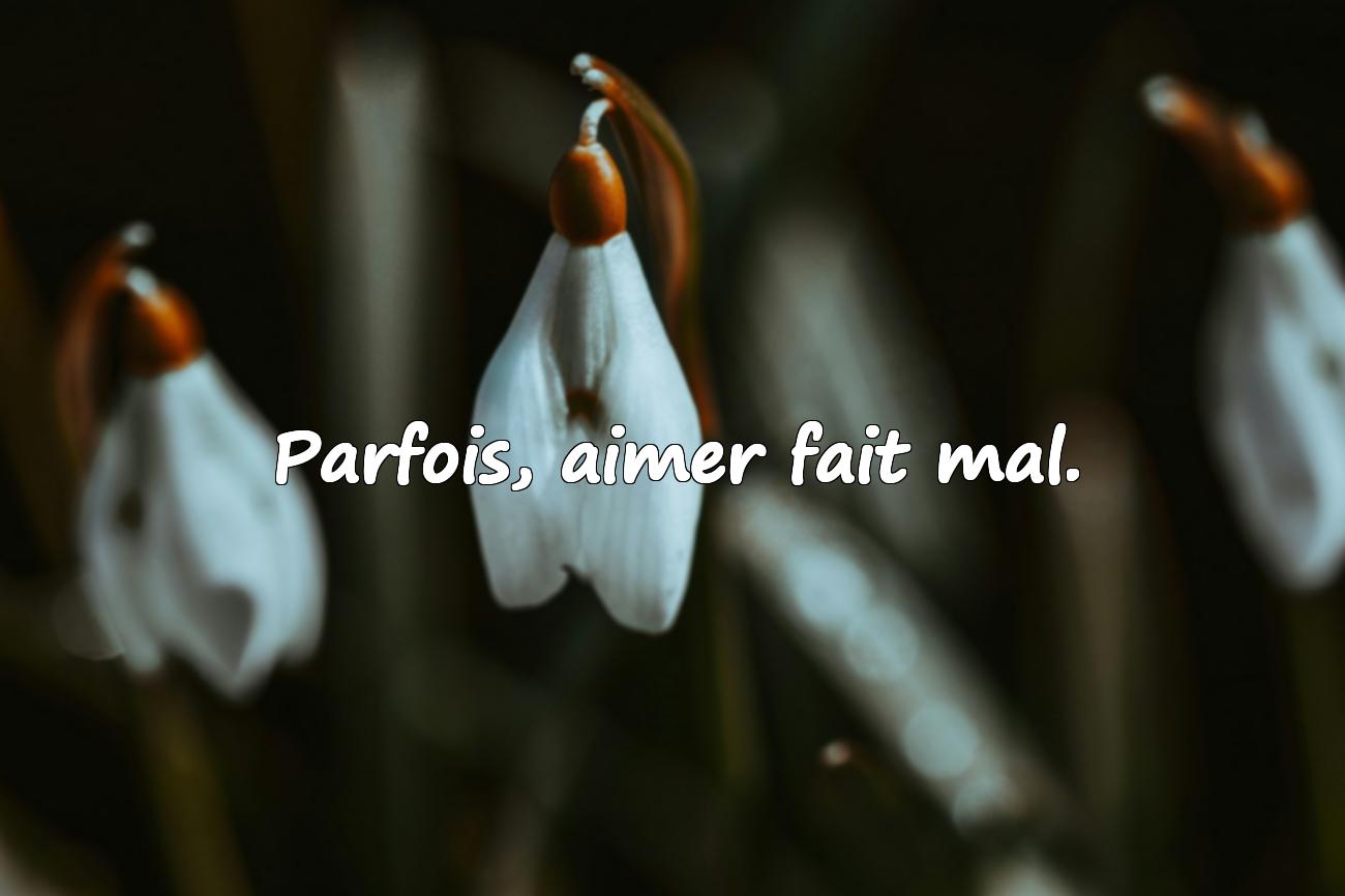 Citation Amour Compliqué