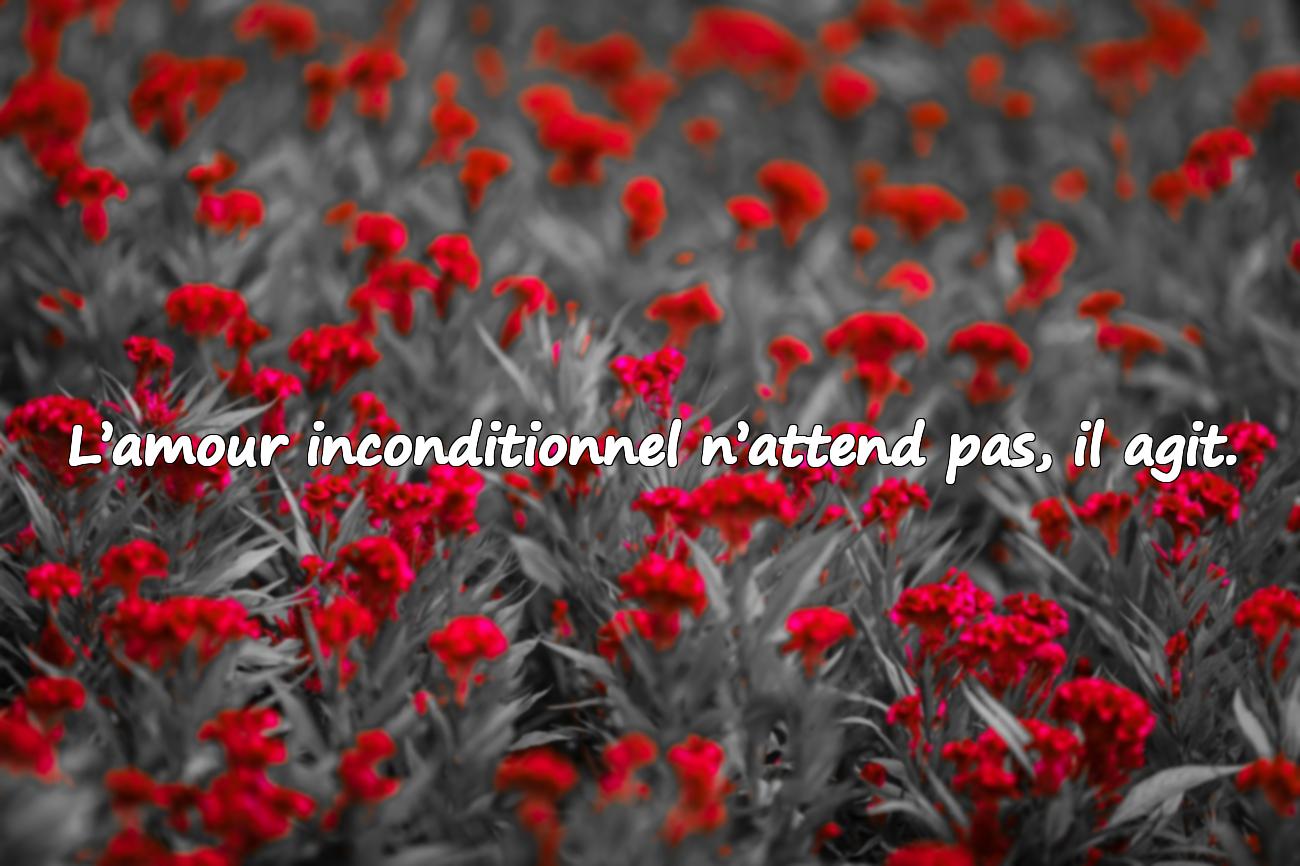 citation amour inconditionnel
