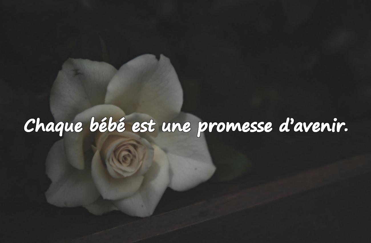 citation bebe