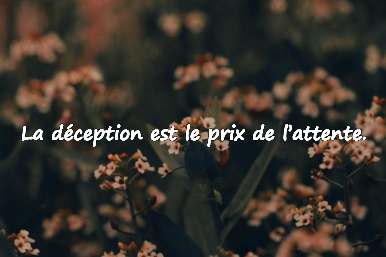 citation déception