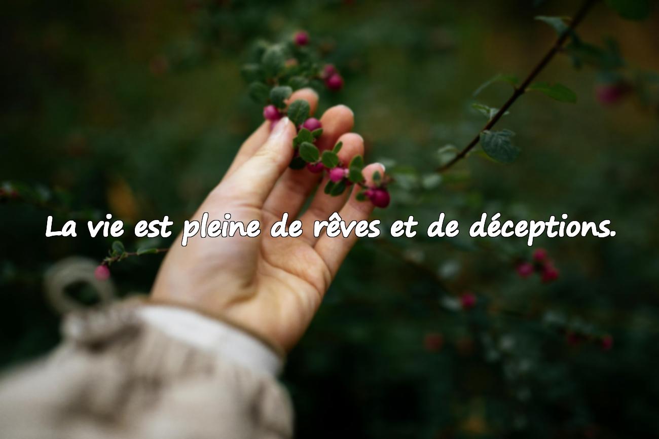 citation déception