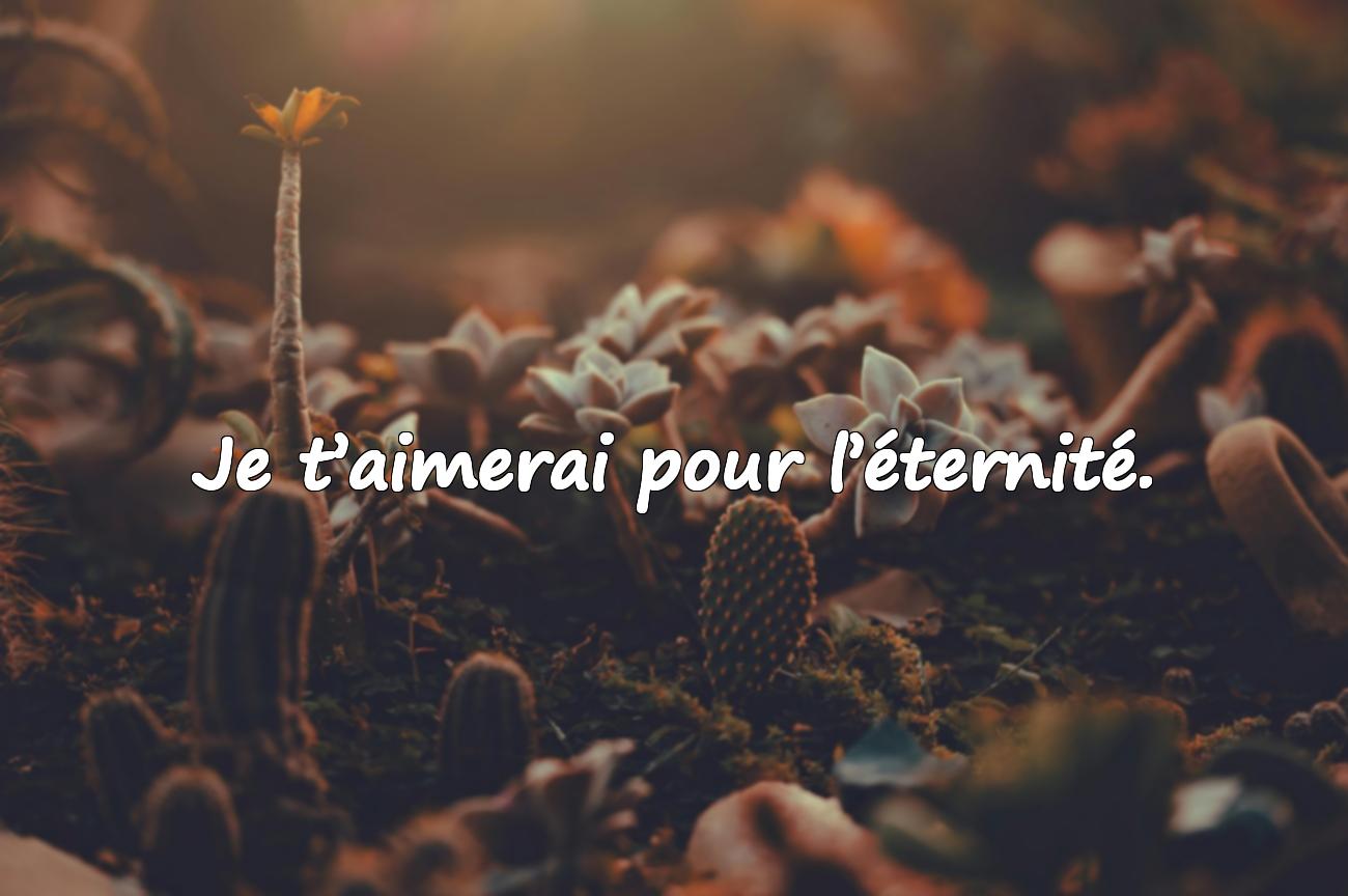 citation des amoureux