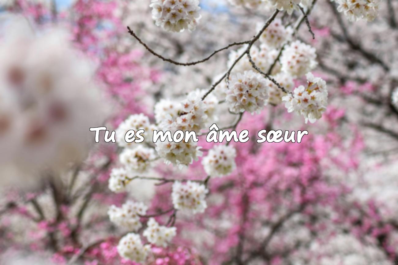citation des amoureux