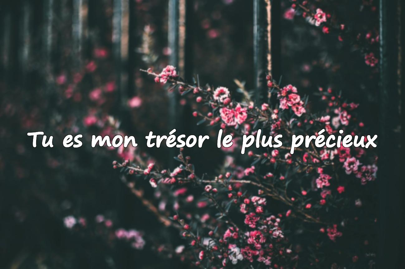 Citation en amour