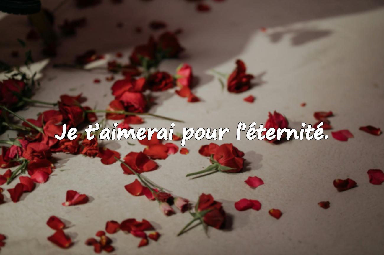 Citation en amour