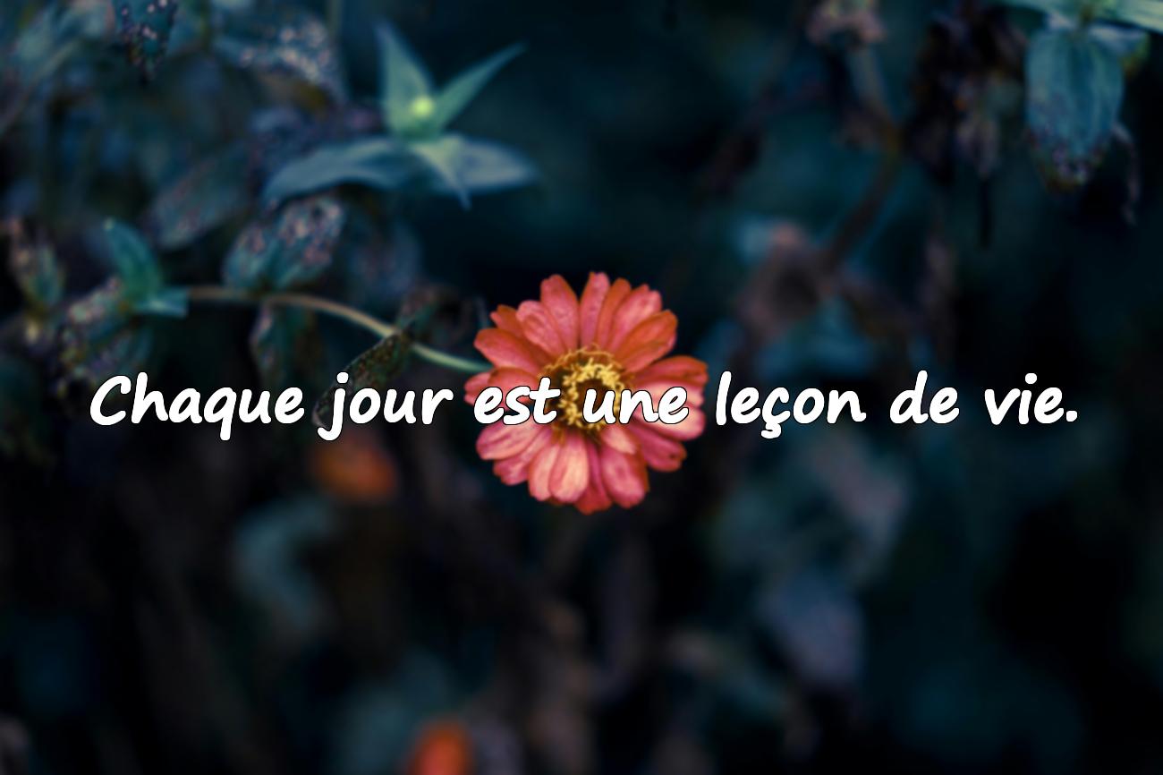 citation jour