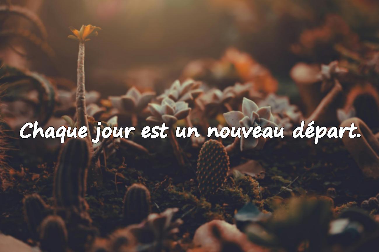 citation jour