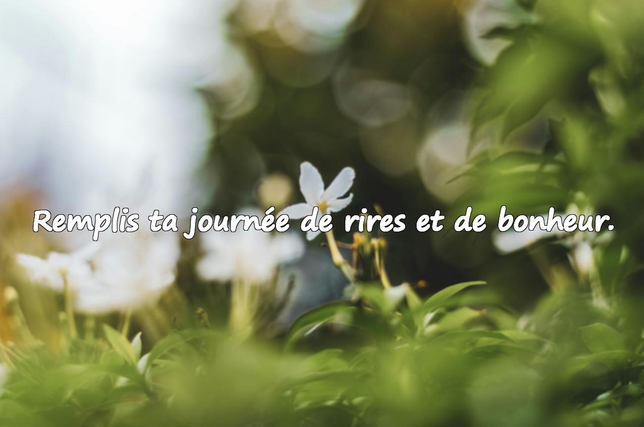 citation jour