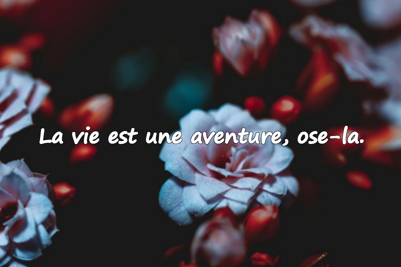 citation la vie