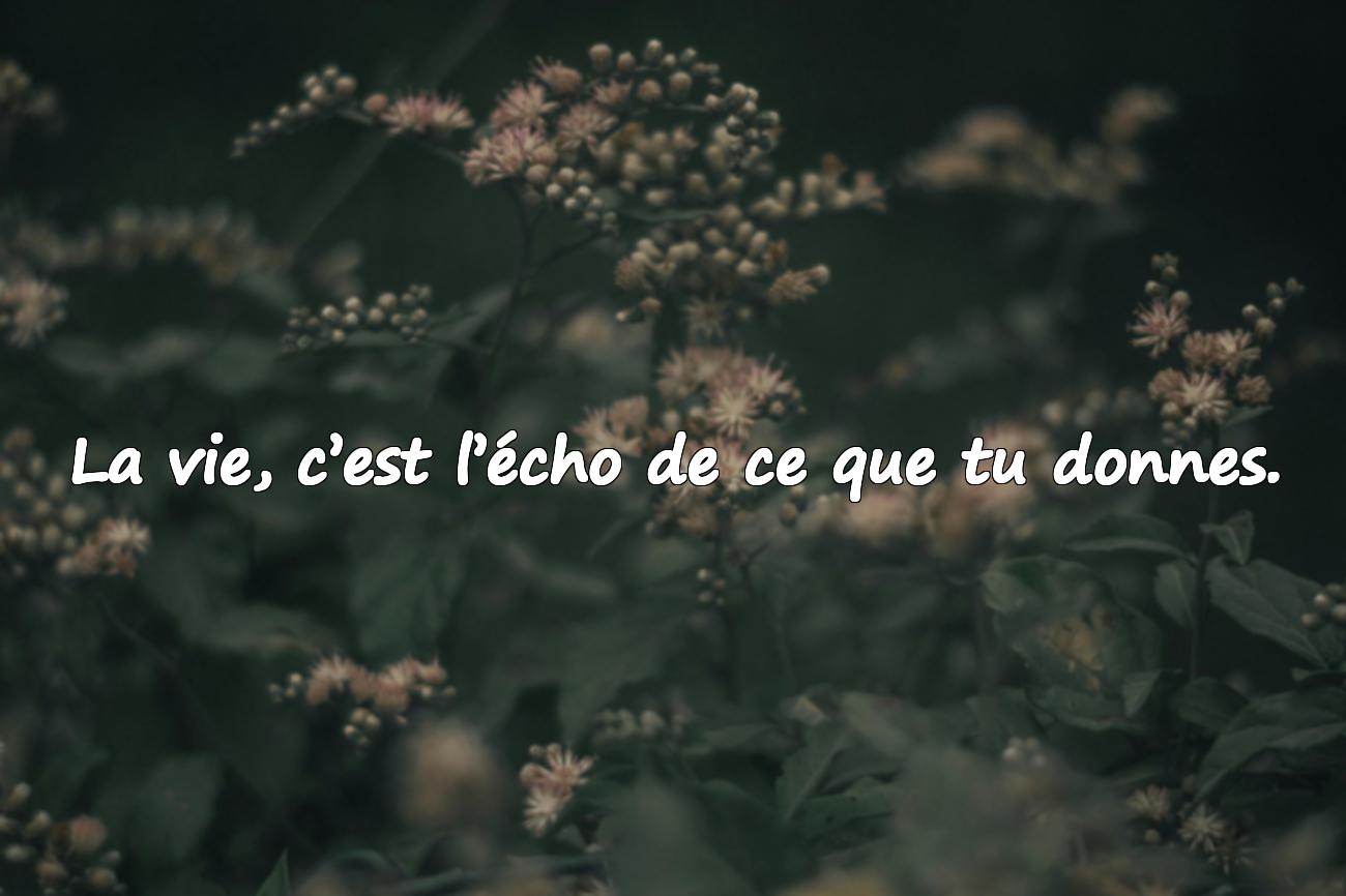 citation la vie