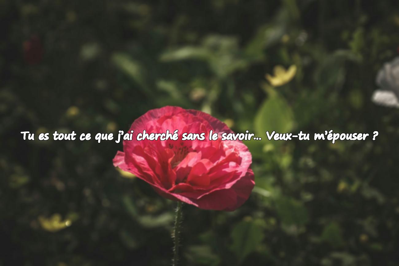citation mariage