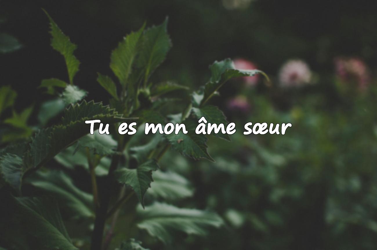 Citation pour Amour