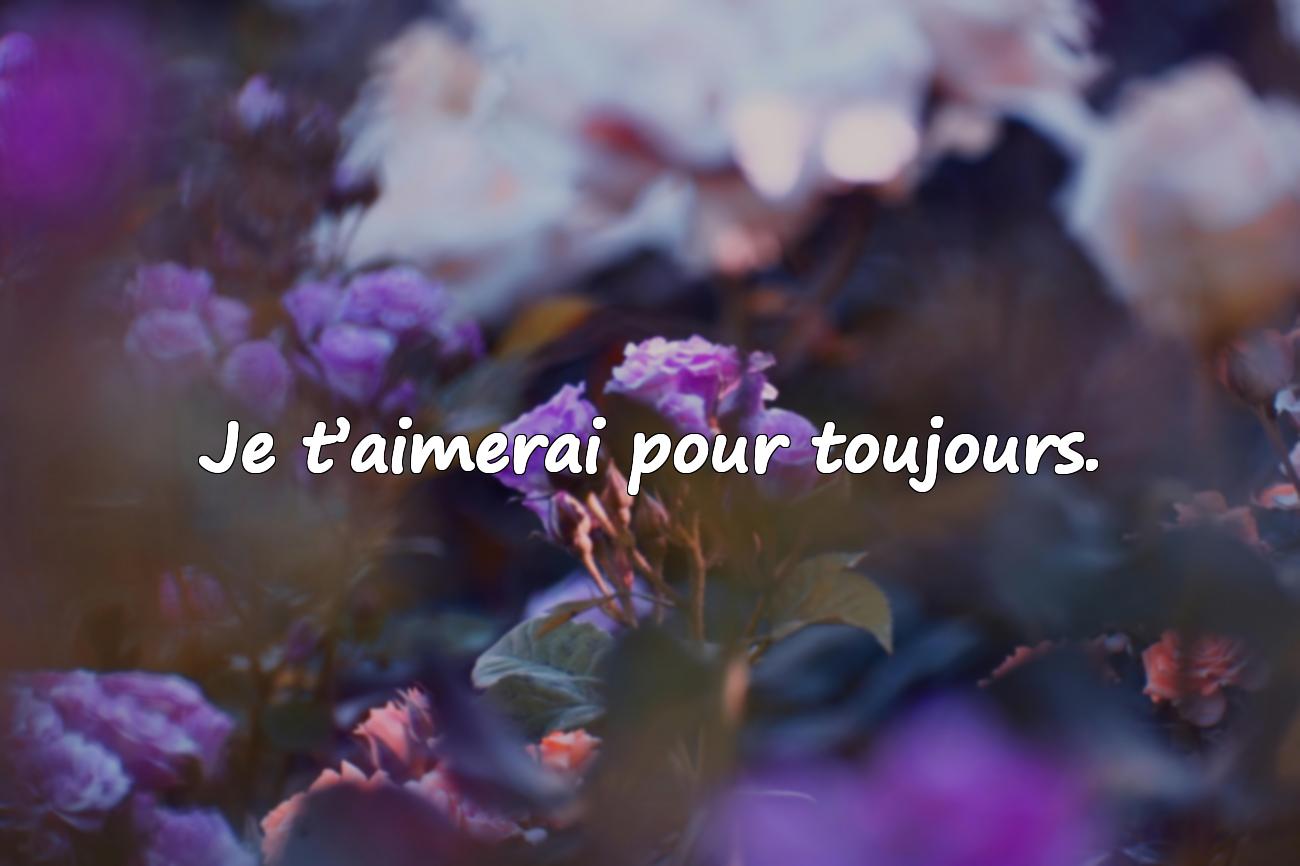 citation pour amoureux