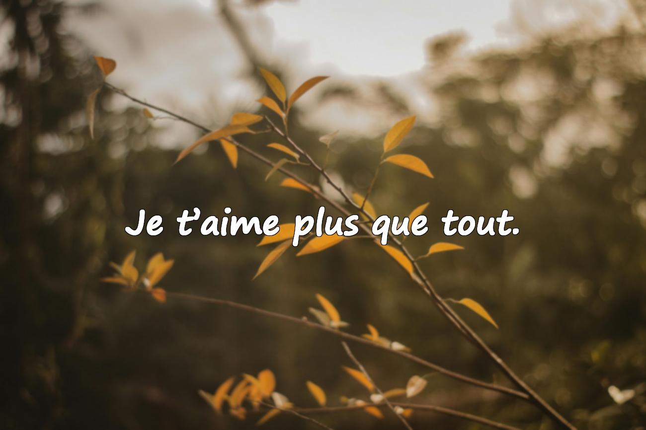 citation pour amoureux