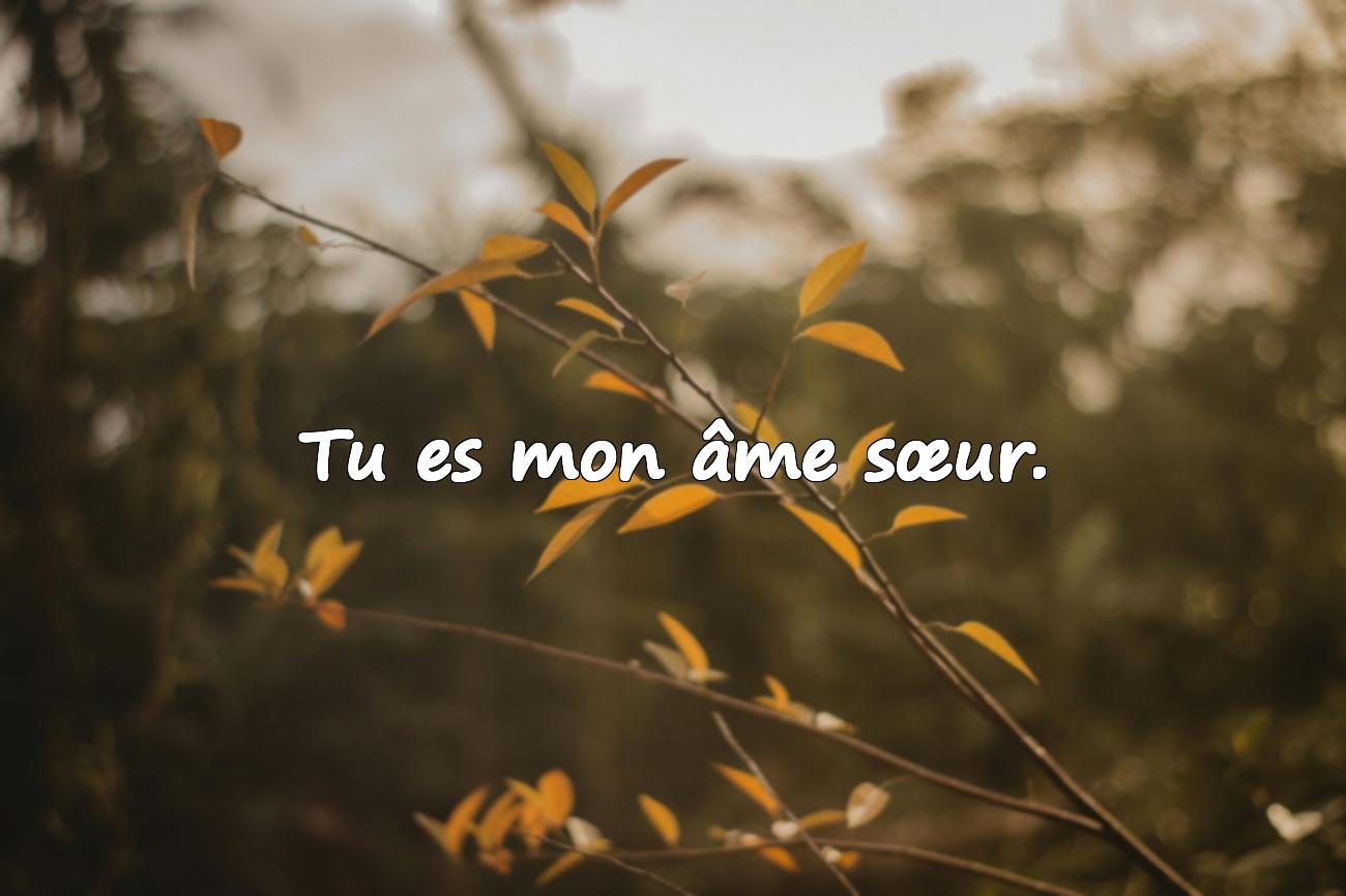 citation pour amoureux