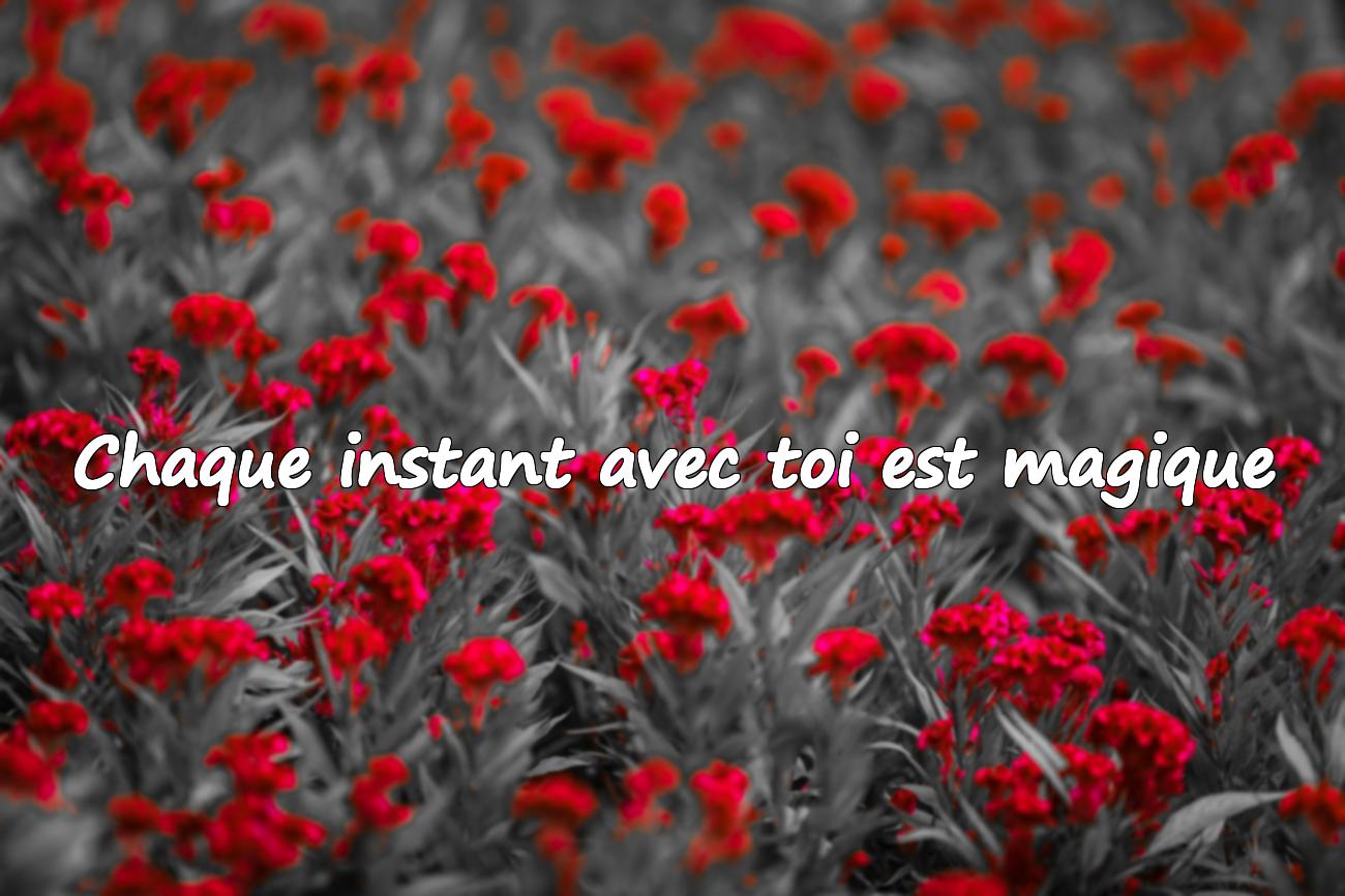 citation pour amoureux