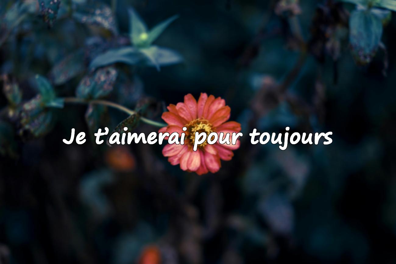 Citation pour les Amoureux