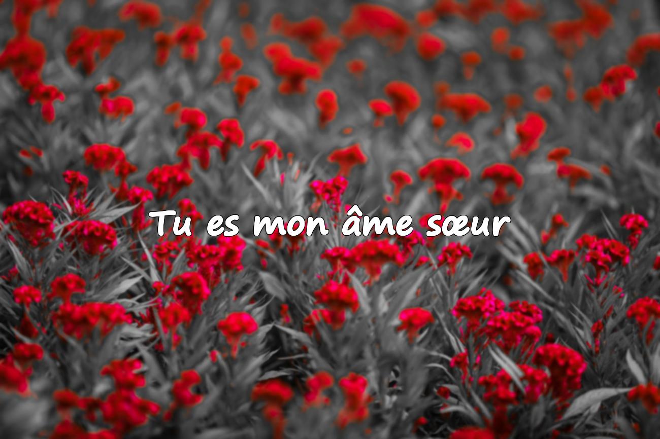 Citation sur Amour