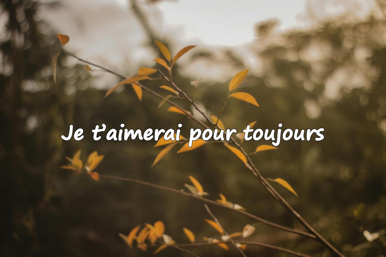 Citation sur Amour
