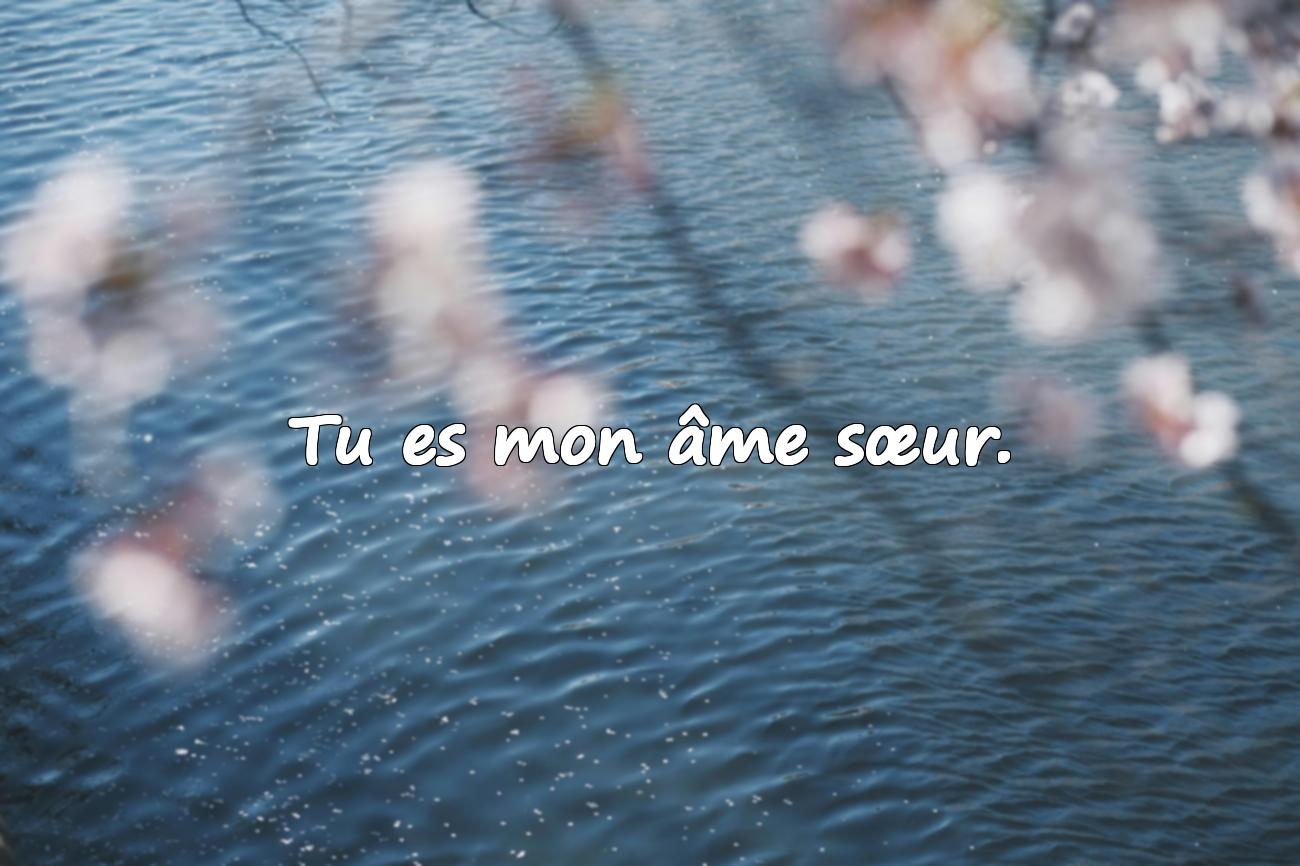 citation sur l amour
