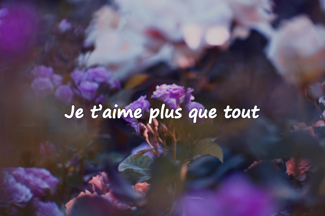 citation sur l amour