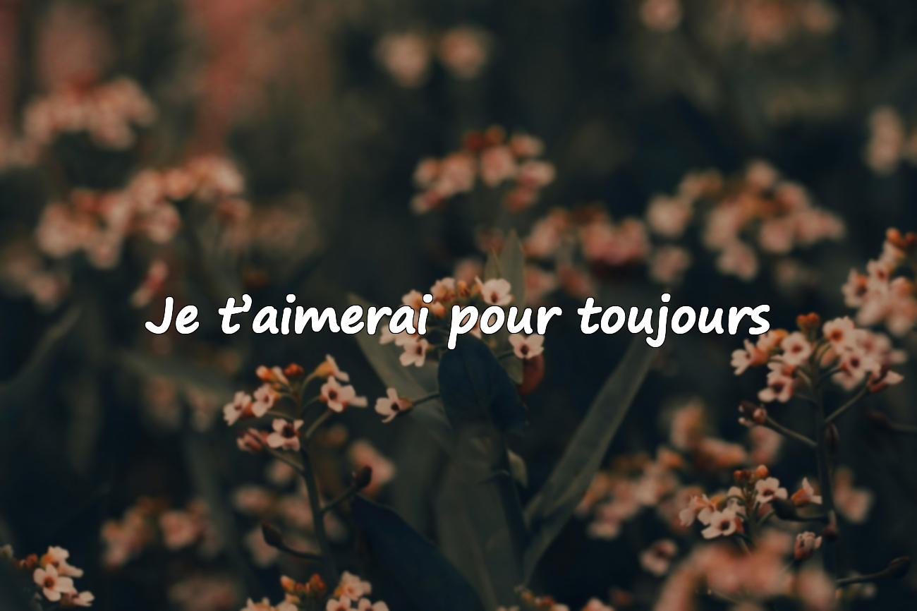citation sur l amour