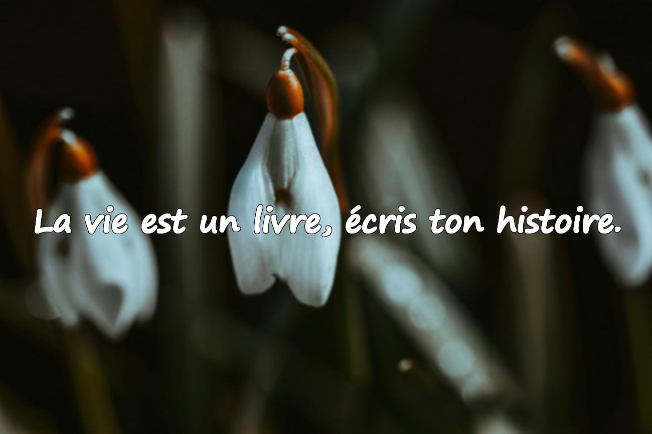 citation sur la vie