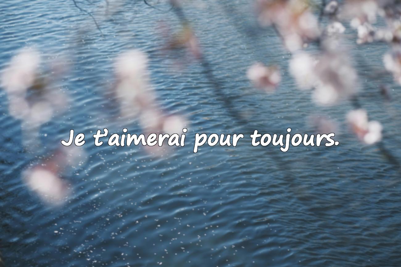 Citation sur l’Amour