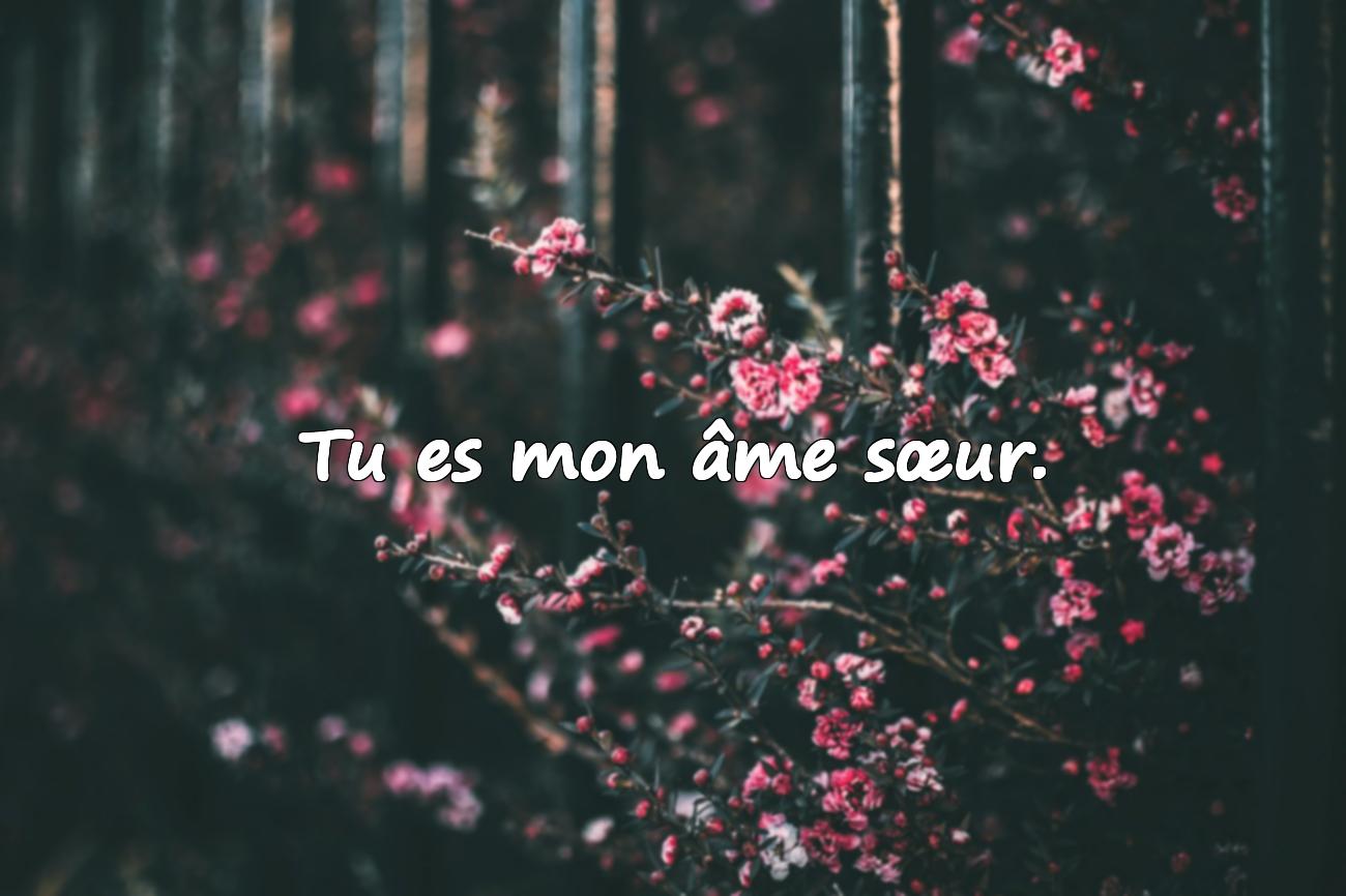Citation sur l’Amour