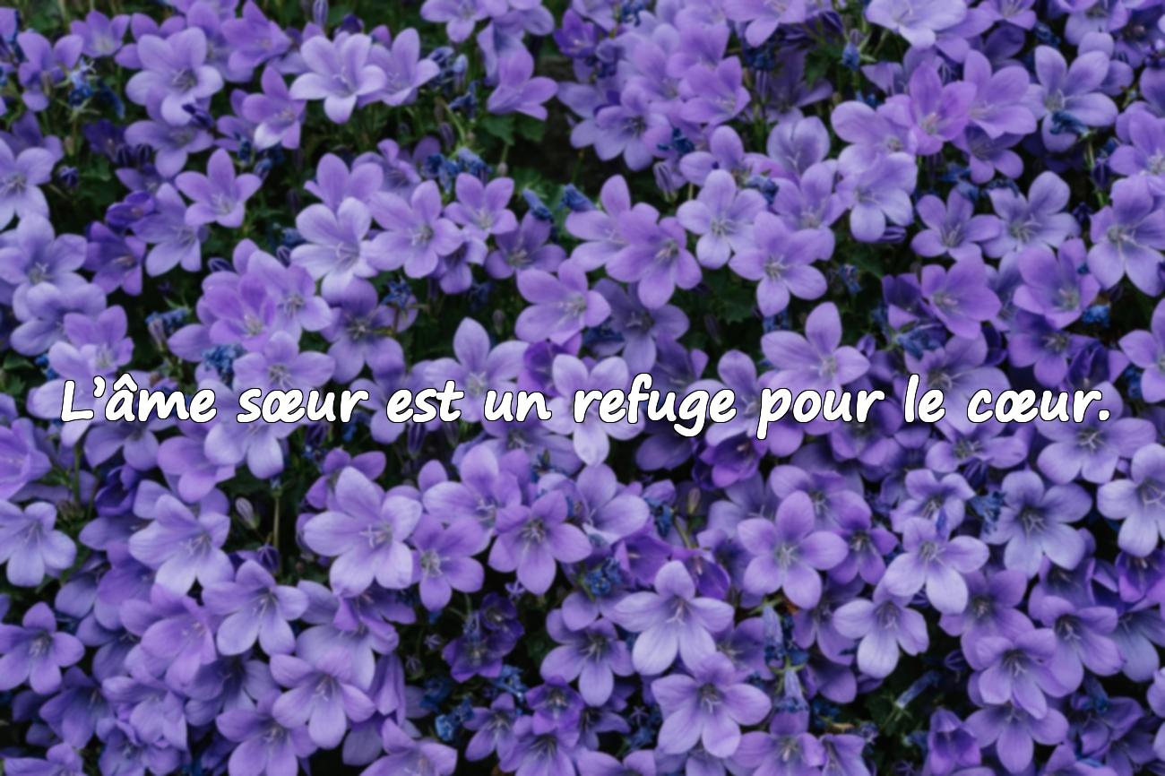 Citations Âme Sœur