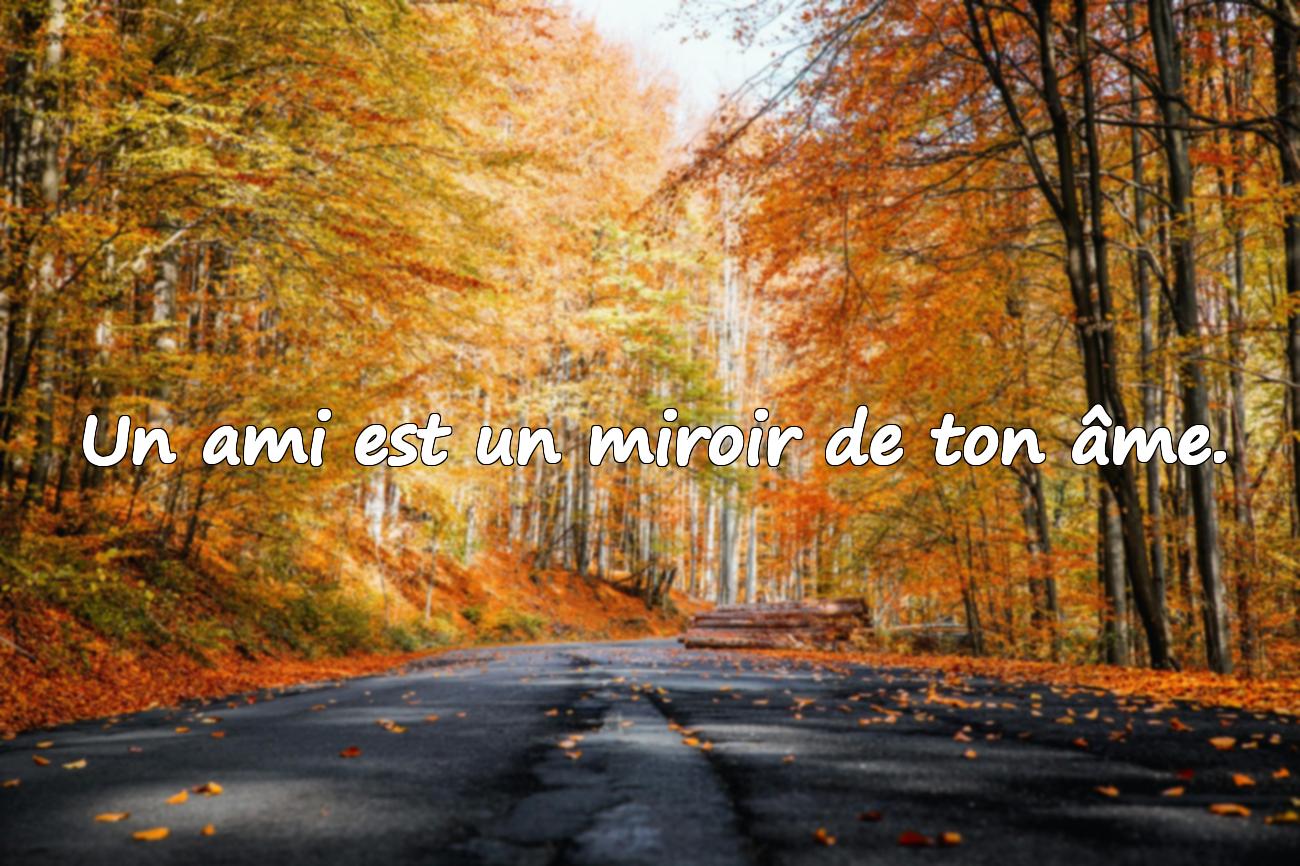 Citations Amitié