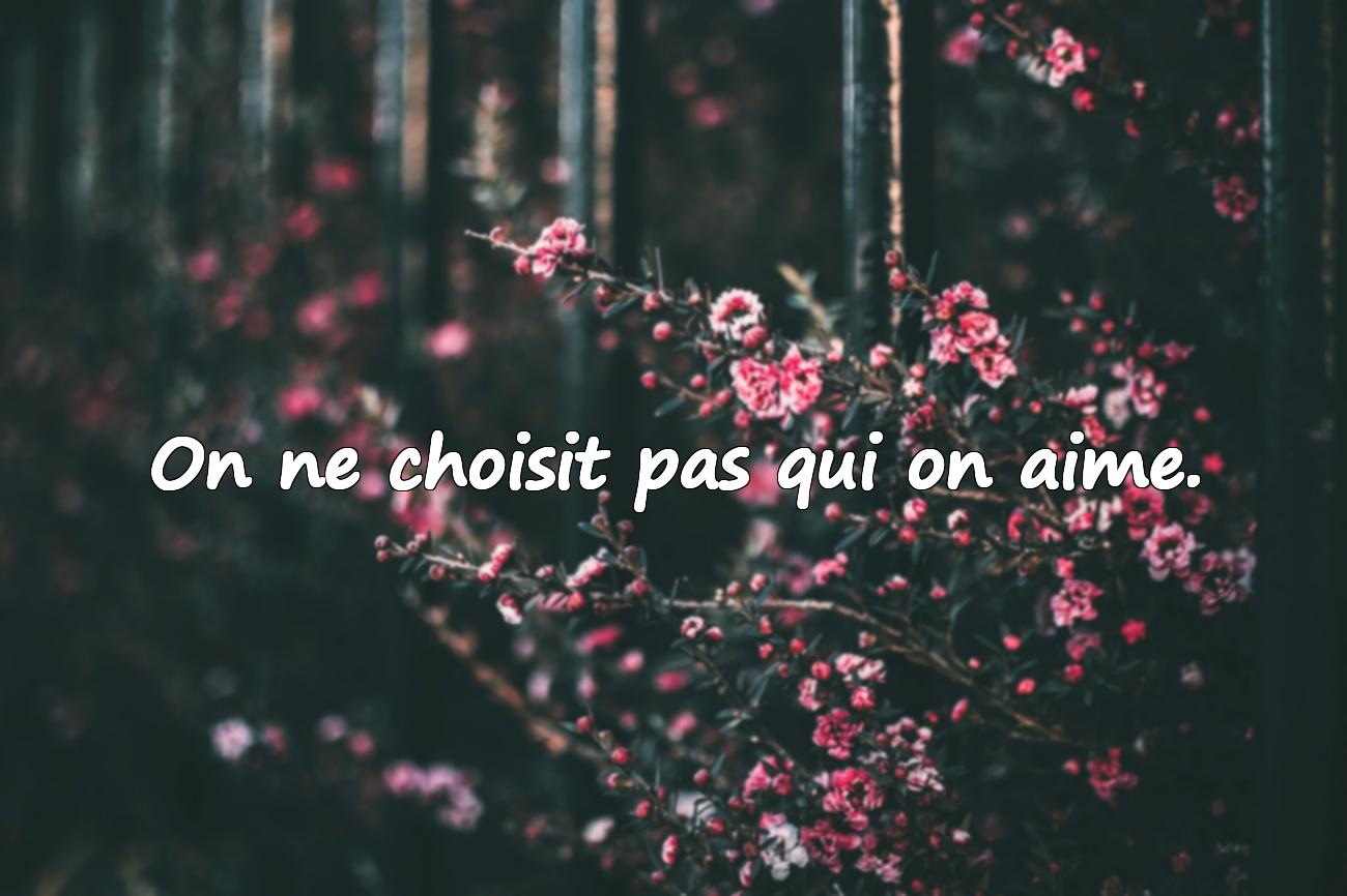 Citations Amour Impossible