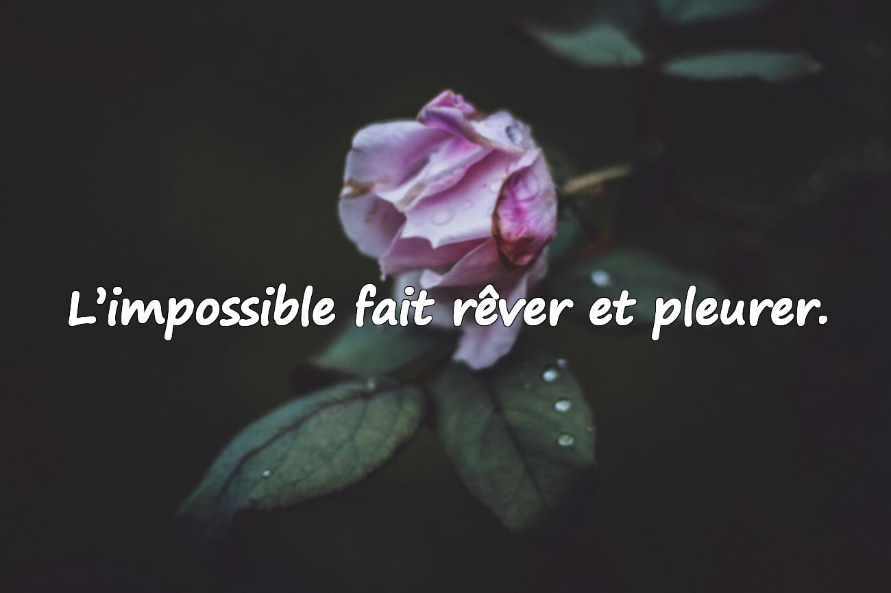 Citations Amour Impossible